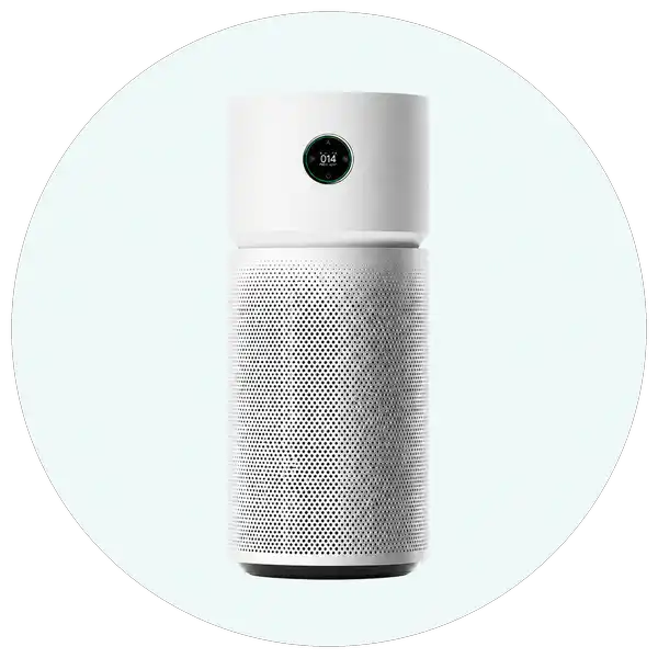 elite شیلمی الیت